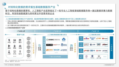 人工智能基礎(chǔ)數(shù)據(jù)服務(wù)與軟件開發(fā)白皮書