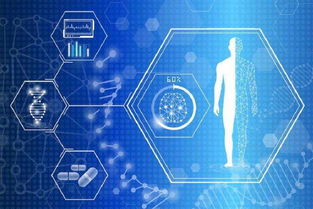 智能養(yǎng)老 人工智能軟件驅(qū)動(dòng)下的銀發(fā)經(jīng)濟(jì)新藍(lán)海